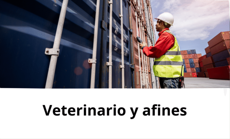 veterinario